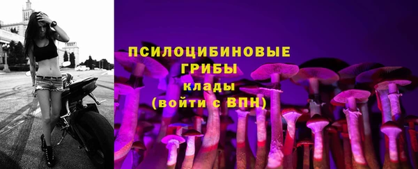 а пвп мука Армянск