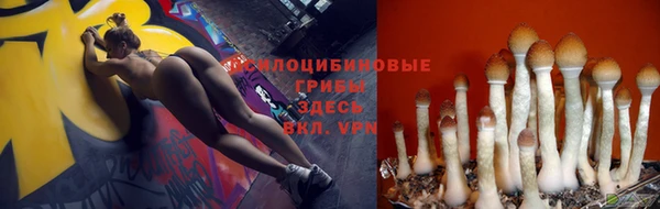 метадон Арсеньев
